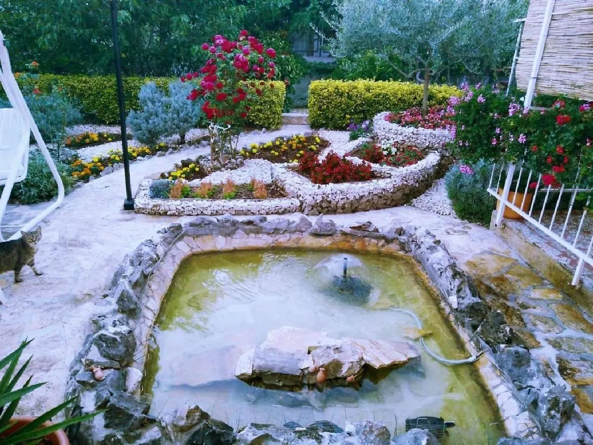 تروغير Apartments And Room Vikeli