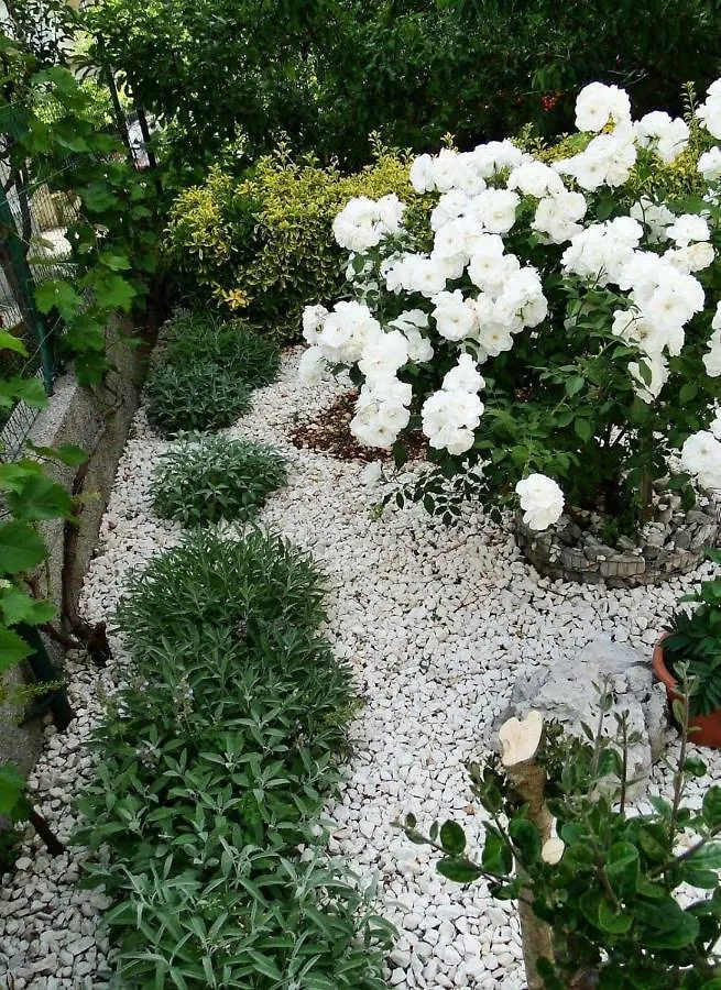 تروغير Apartments And Room Vikeli 0*,