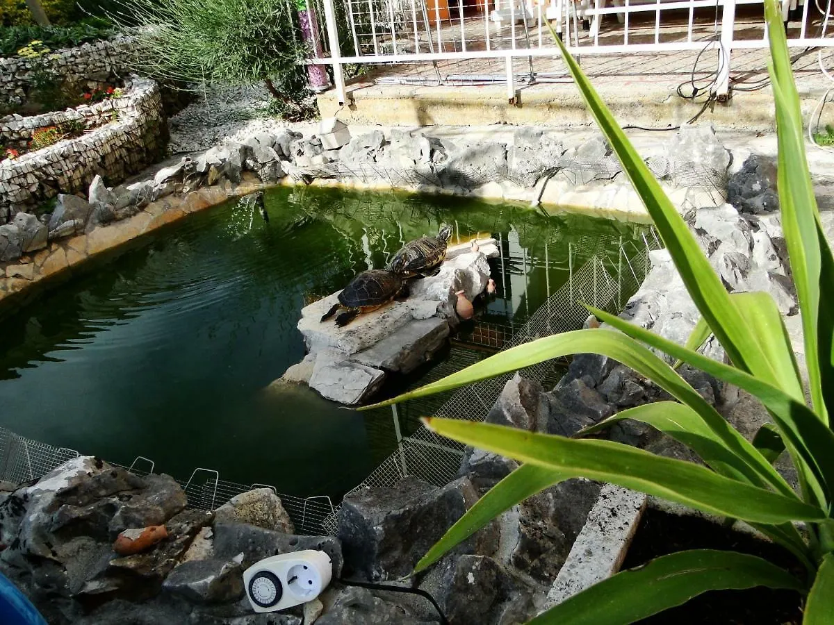 تروغير Apartments And Room Vikeli