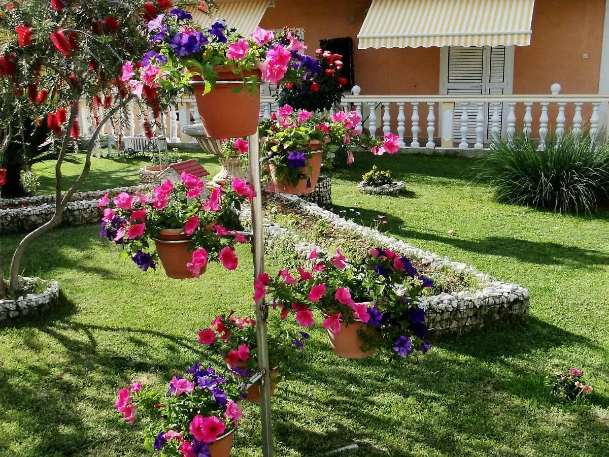 تروغير Apartments And Room Vikeli